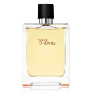 Terre D'Hermes Eau De Toilette Spray 50ml