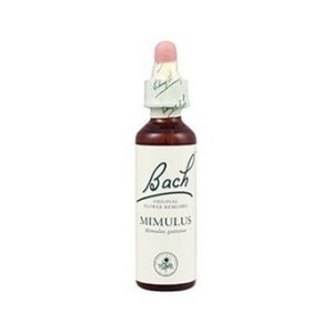 Bach 06 Cherry Plum 20ml