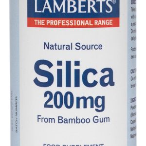 Lamberts Silica 200 Mg 90 Caps