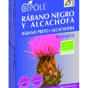 Intersa Bipole Rabano Negro-Alcachofa