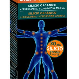 Intersa Sili-Protect 500ml
