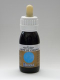 Bellsola Aceite Chiapas 60ml